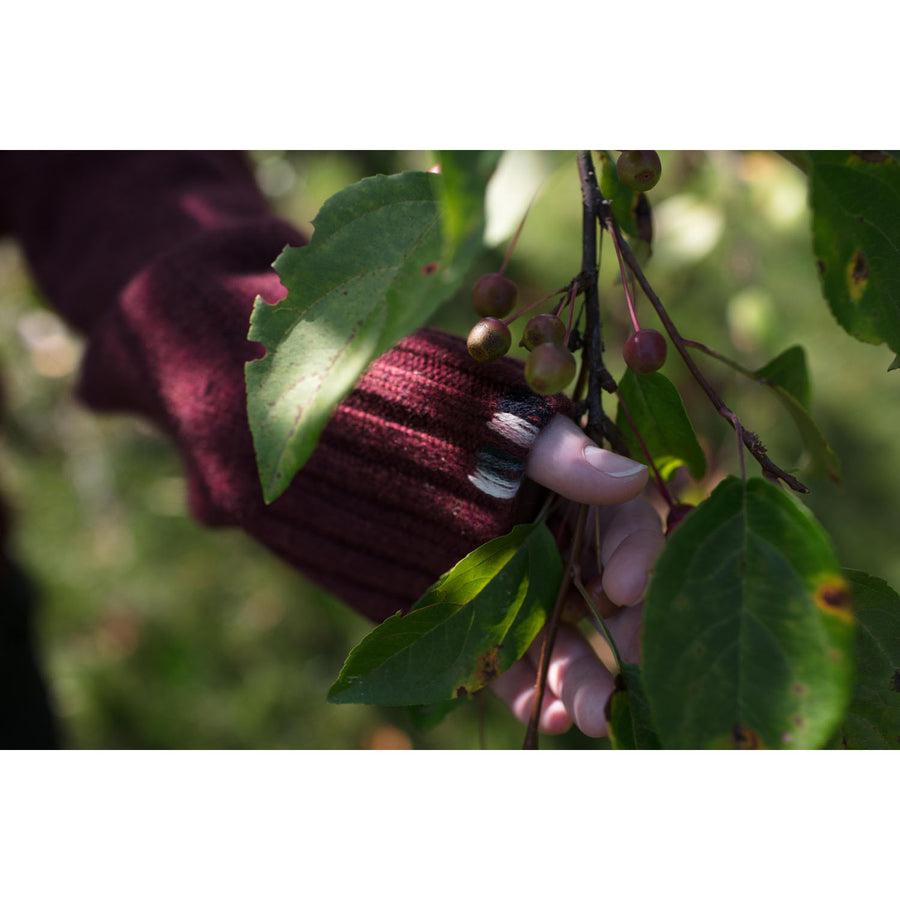 Extreme Cashmere Oldie Sweater in Maroon