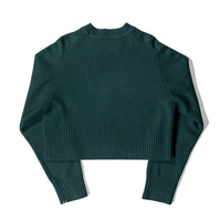 Extreme Cashmere Judith Sweater in Forest